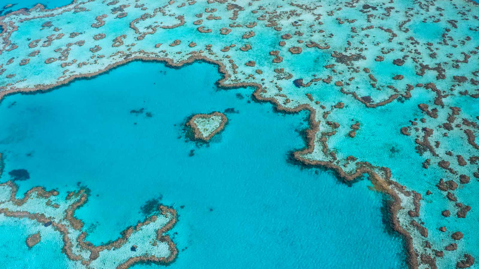 I Visited The Great Barrier Reef Before It Dies – And You Should Too