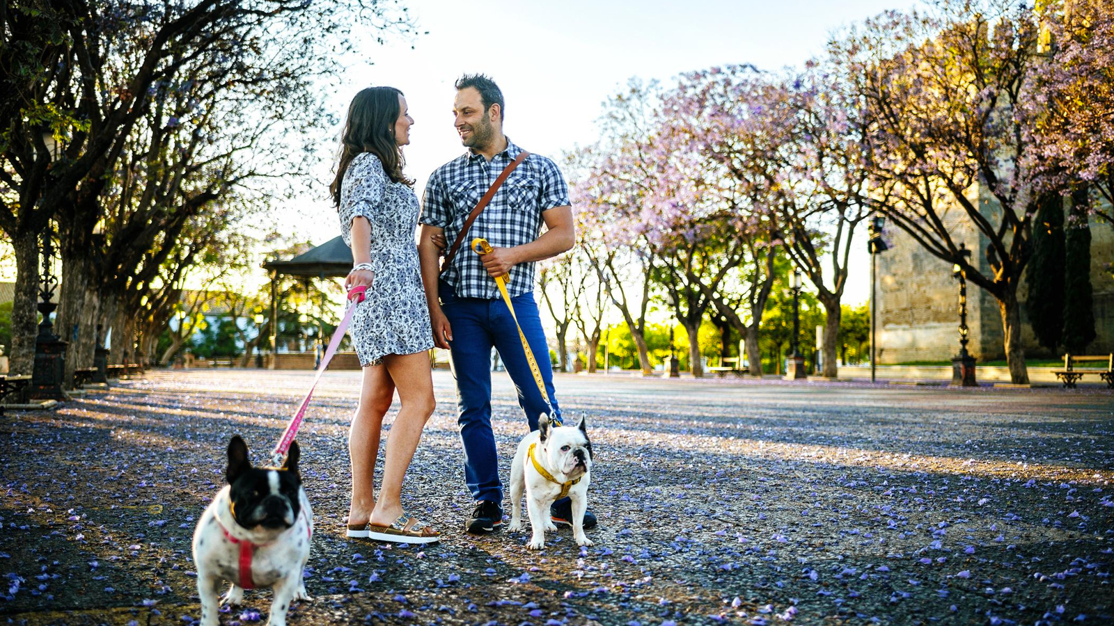 Dog Baiting: The Sneaky Dating Strategy You’ll Go Barking Mad For