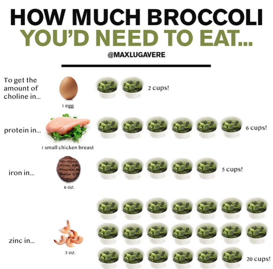 Broccoli Vs Meat Health Writer Sets The Protein Record Straight