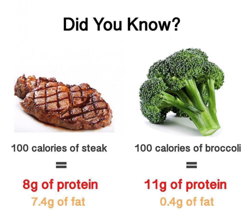 Broccoli Vs Meat Health Writer Sets The Protein Record Straight