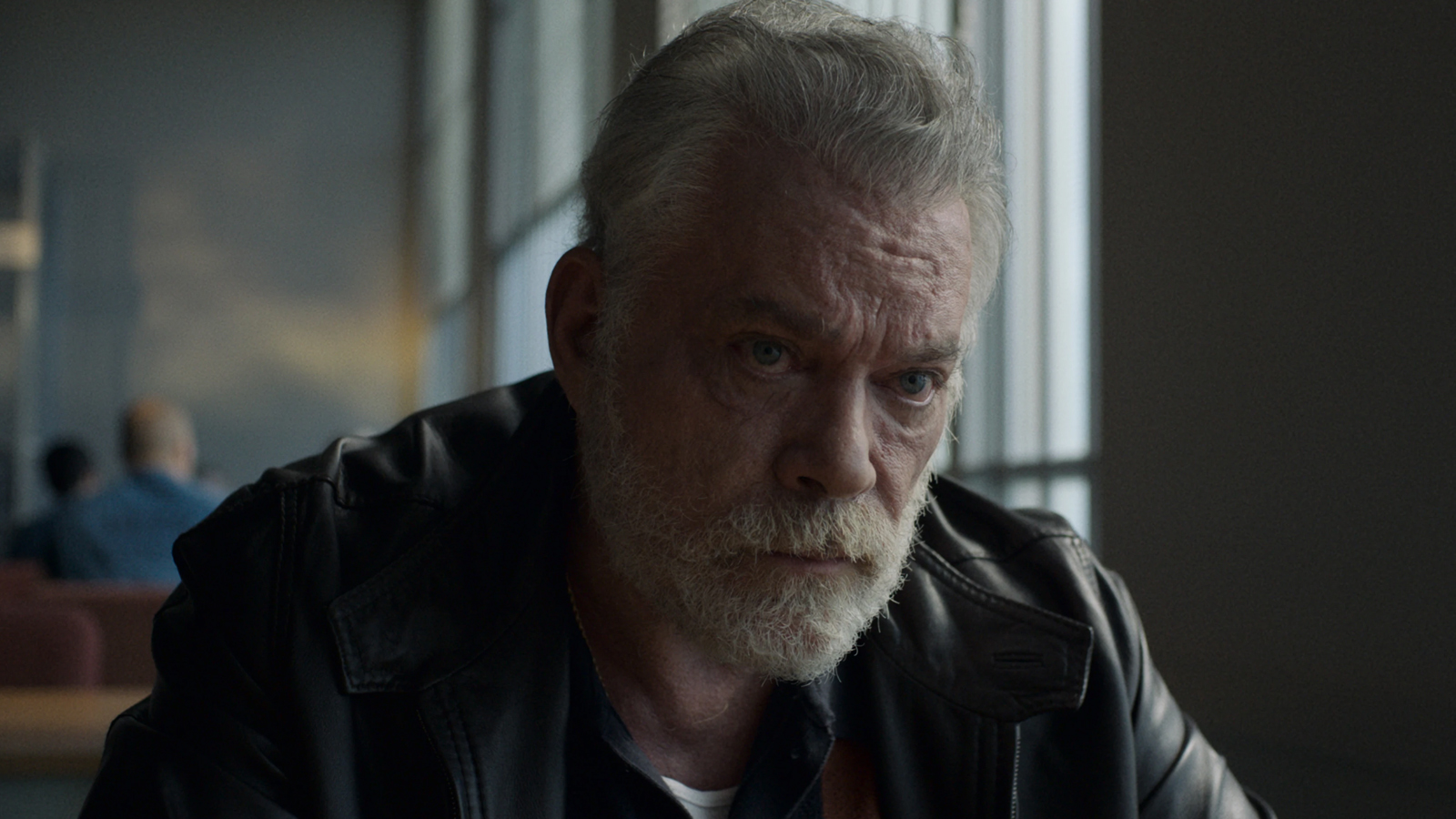 Ray Liotta Lives On In Upcoming TV Series