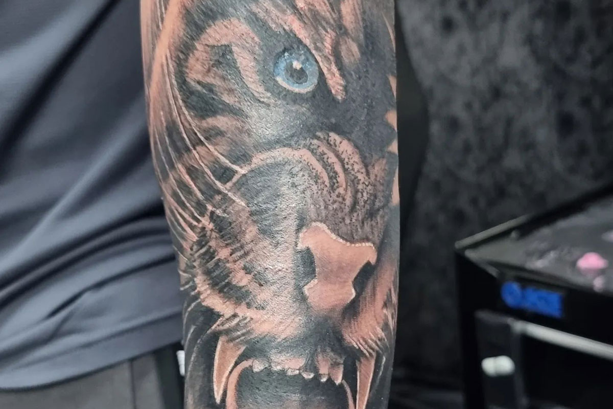 Traditional tiger tattoo on the right forearm.