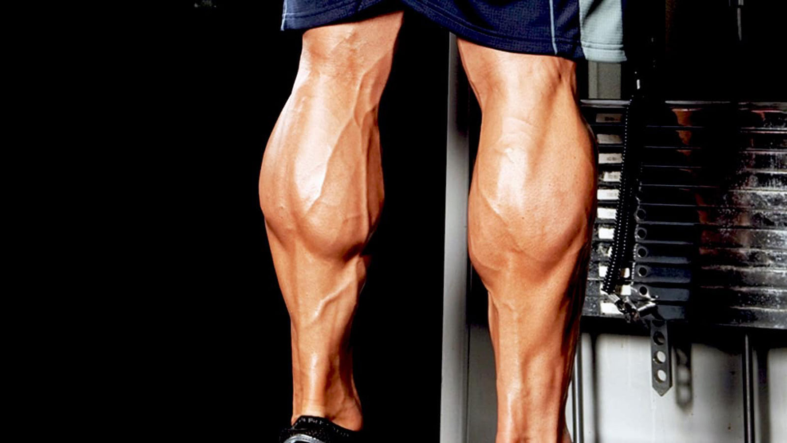 What Happens When You Train Calves For 120 Days Straight