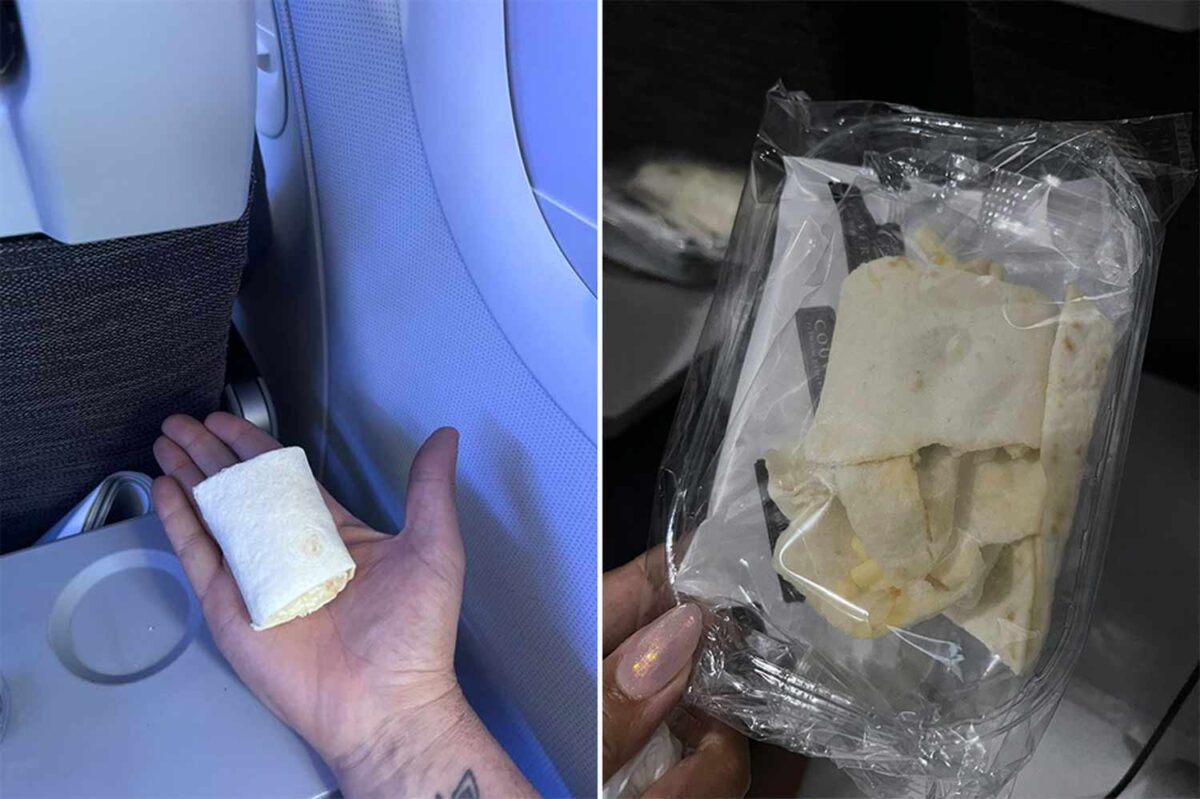 What’s The Craic? Aer Lingus Outrages Passengers With ‘Tiny’ In-Flight Meals