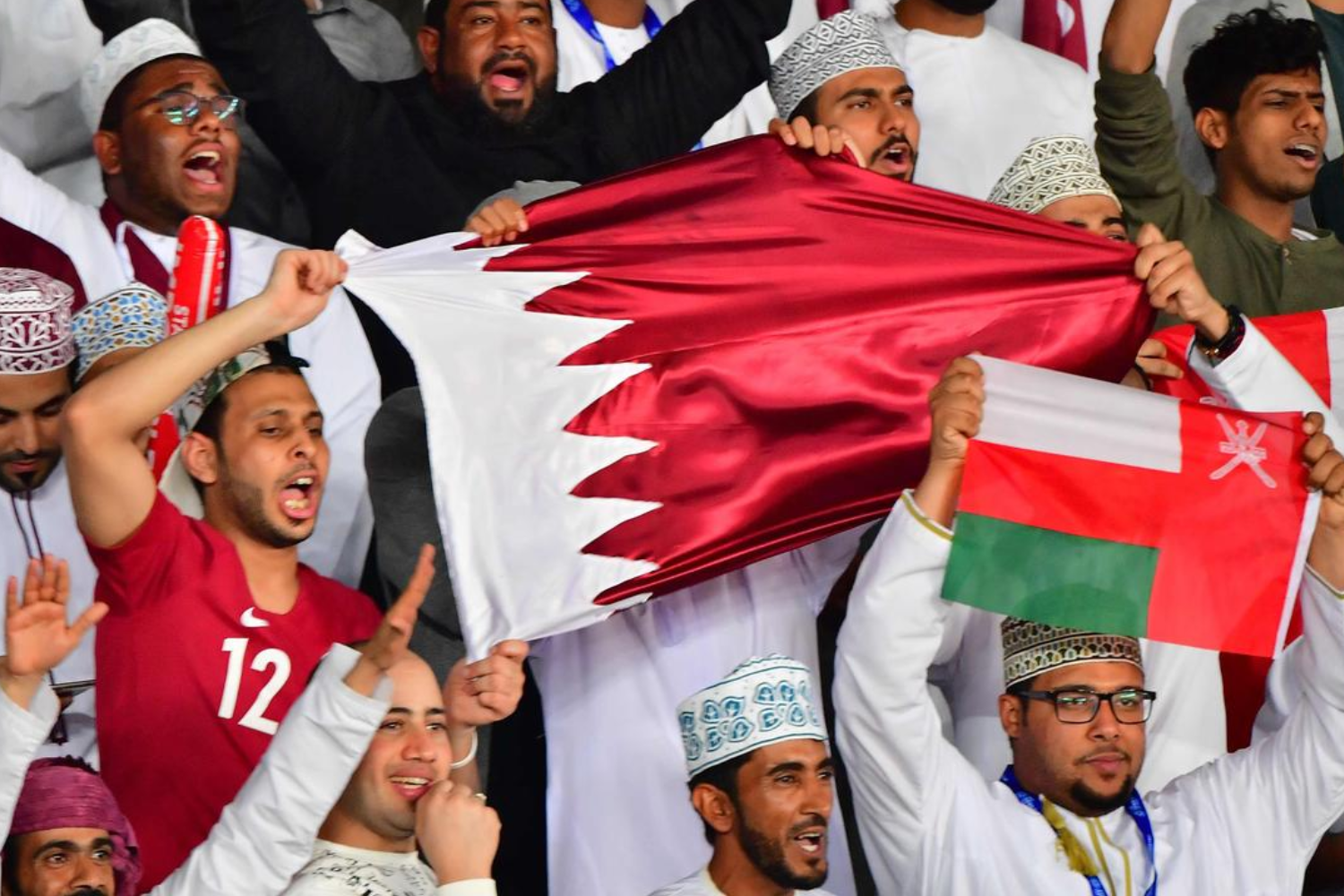 qatar world cup fans
