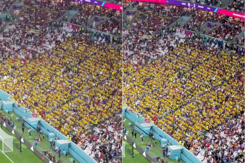 ‘We Want Beer’: Ecuador Fans Chant What Everyone Else Is Thinking