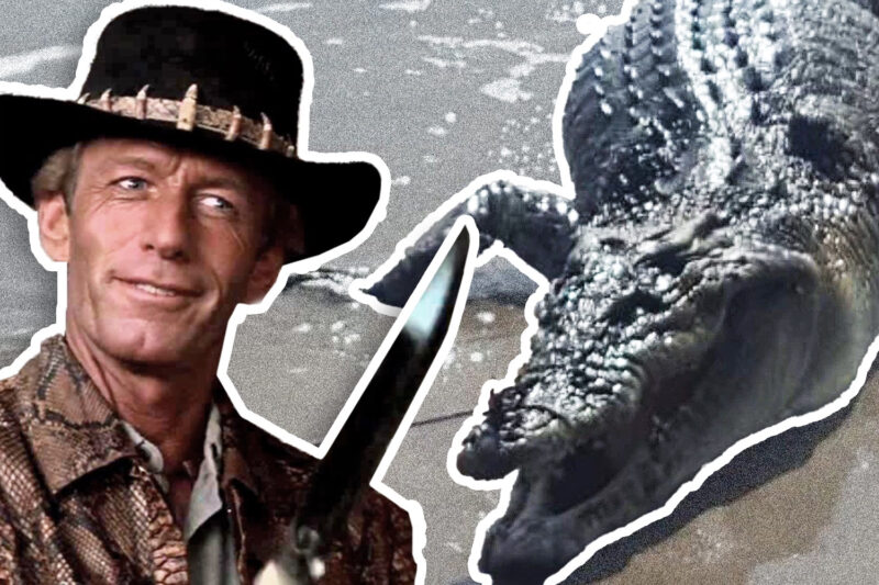 Australian Tourists Shocked As Giant Crocodile Turns Up At Bali Beach