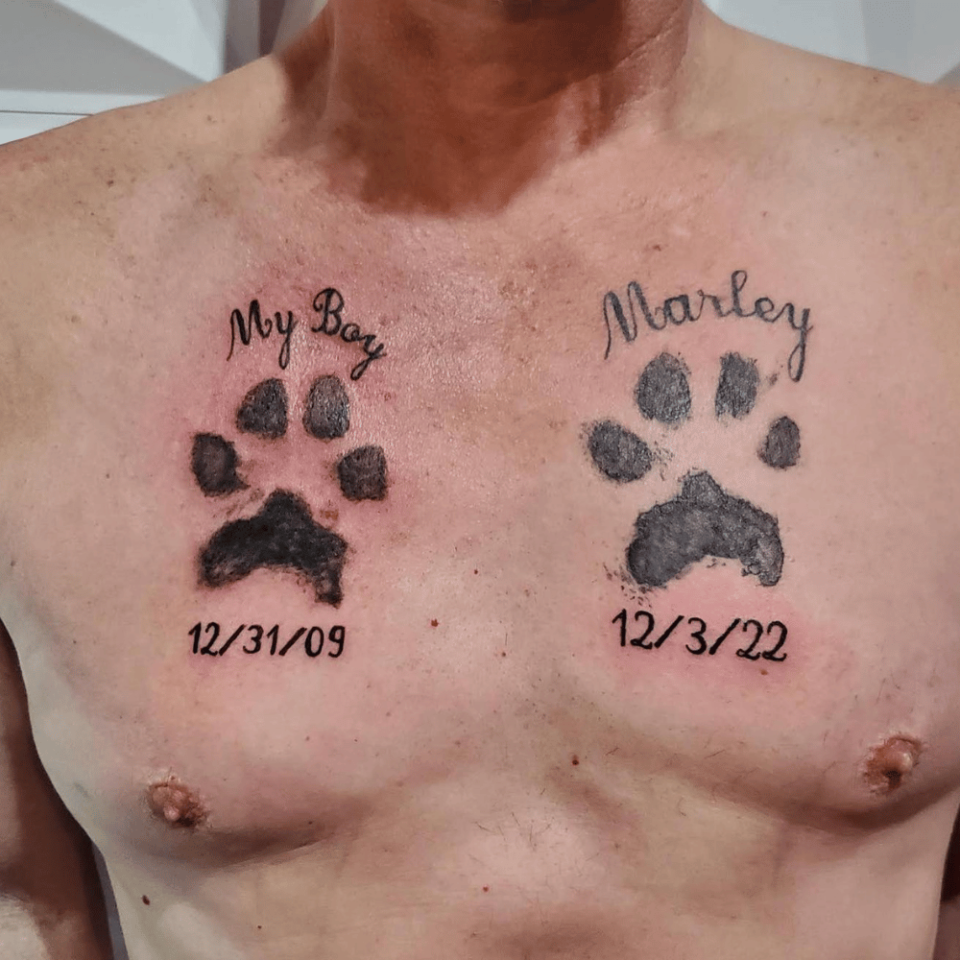 Pet Chest Tattoo Source @bodymods_sunbury via Instagram