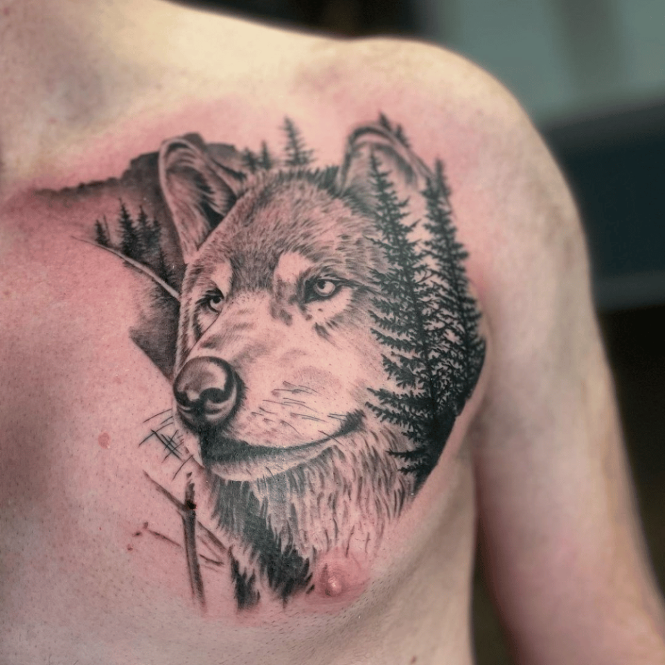 Chest Wolf Tattoo Source @riotinkohio via Instagram