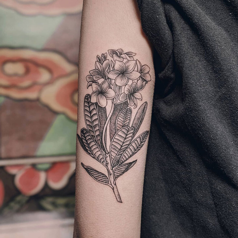 Frangipani Tattoo Source @cynthiaomi_tattoo via Instagram