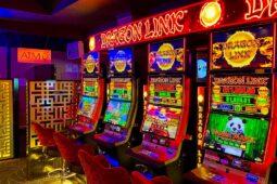 Australians Drained $38 Billion From Superannuation… And Lots Spent It Gambling