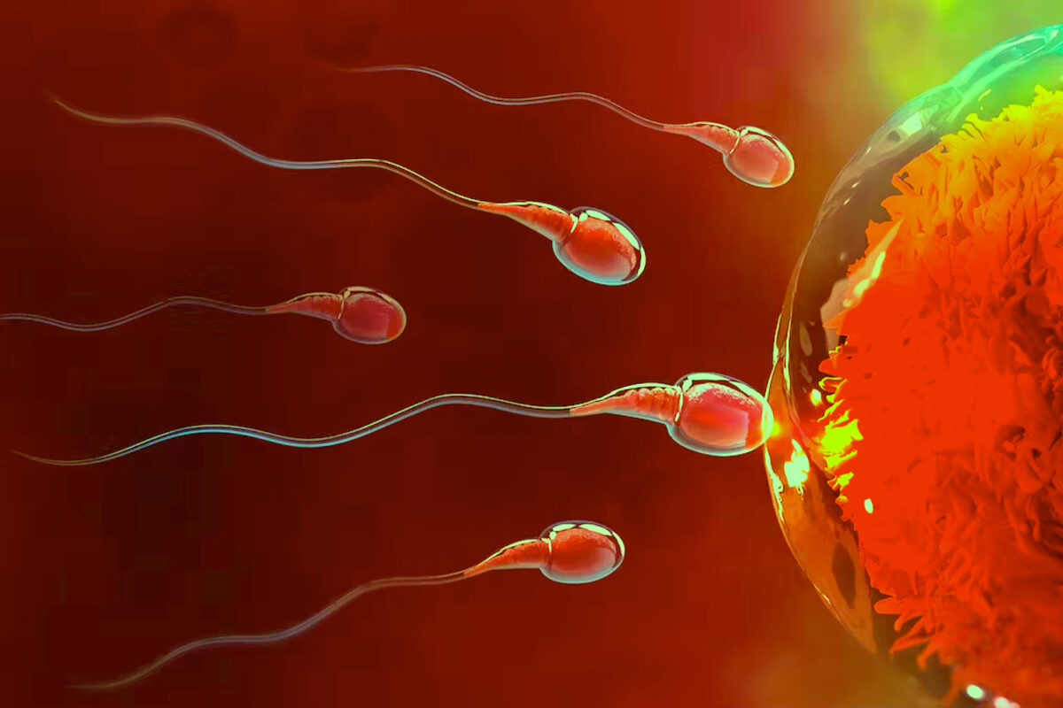 SpermKilling Gene Marks Male Contraceptive Pill Breakthrough DMARGE