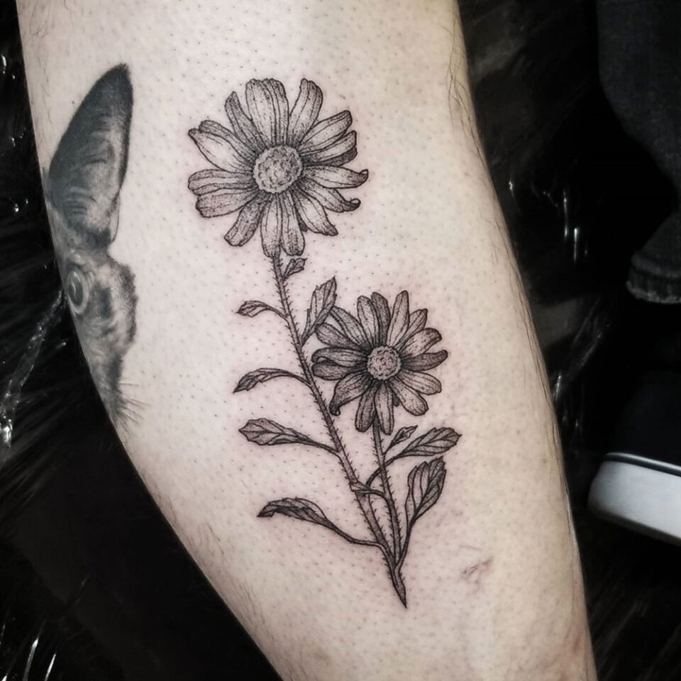 Aster floral tattoo sourced via IG @abitatts