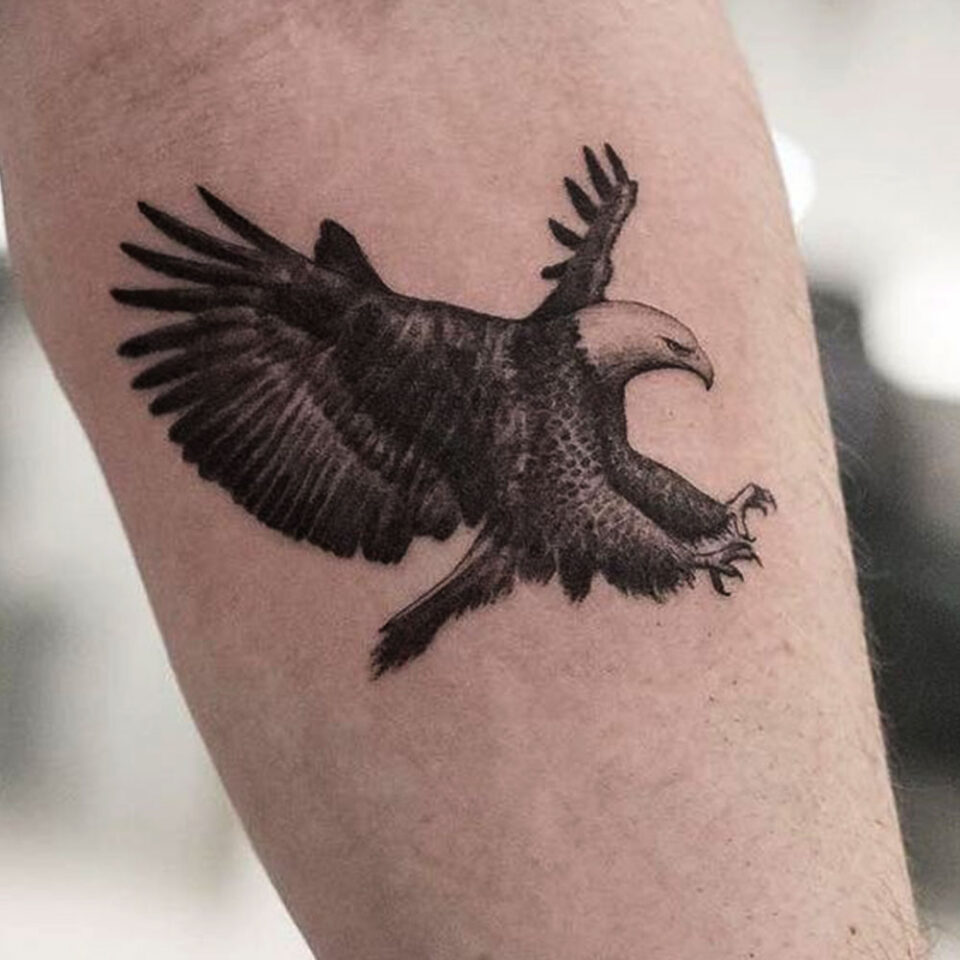 Greater Spotted Eagle Tattoo