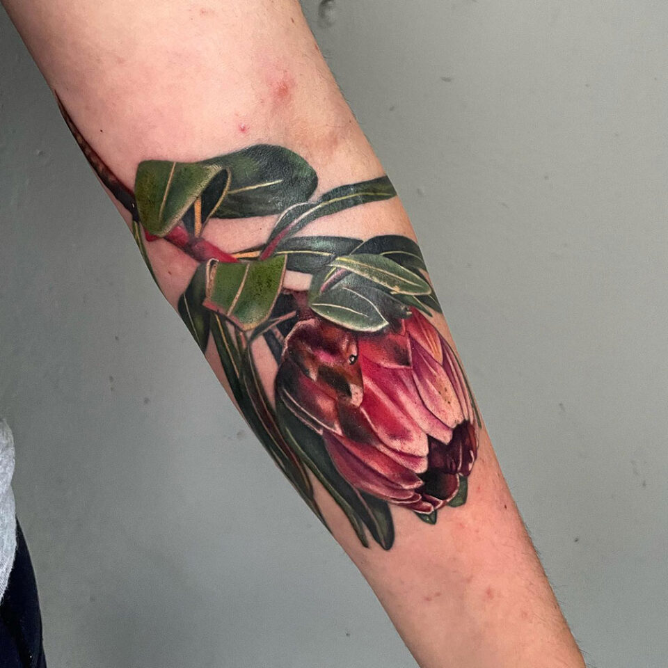 Protea floral tattoo sourced via IG @cedretattoos