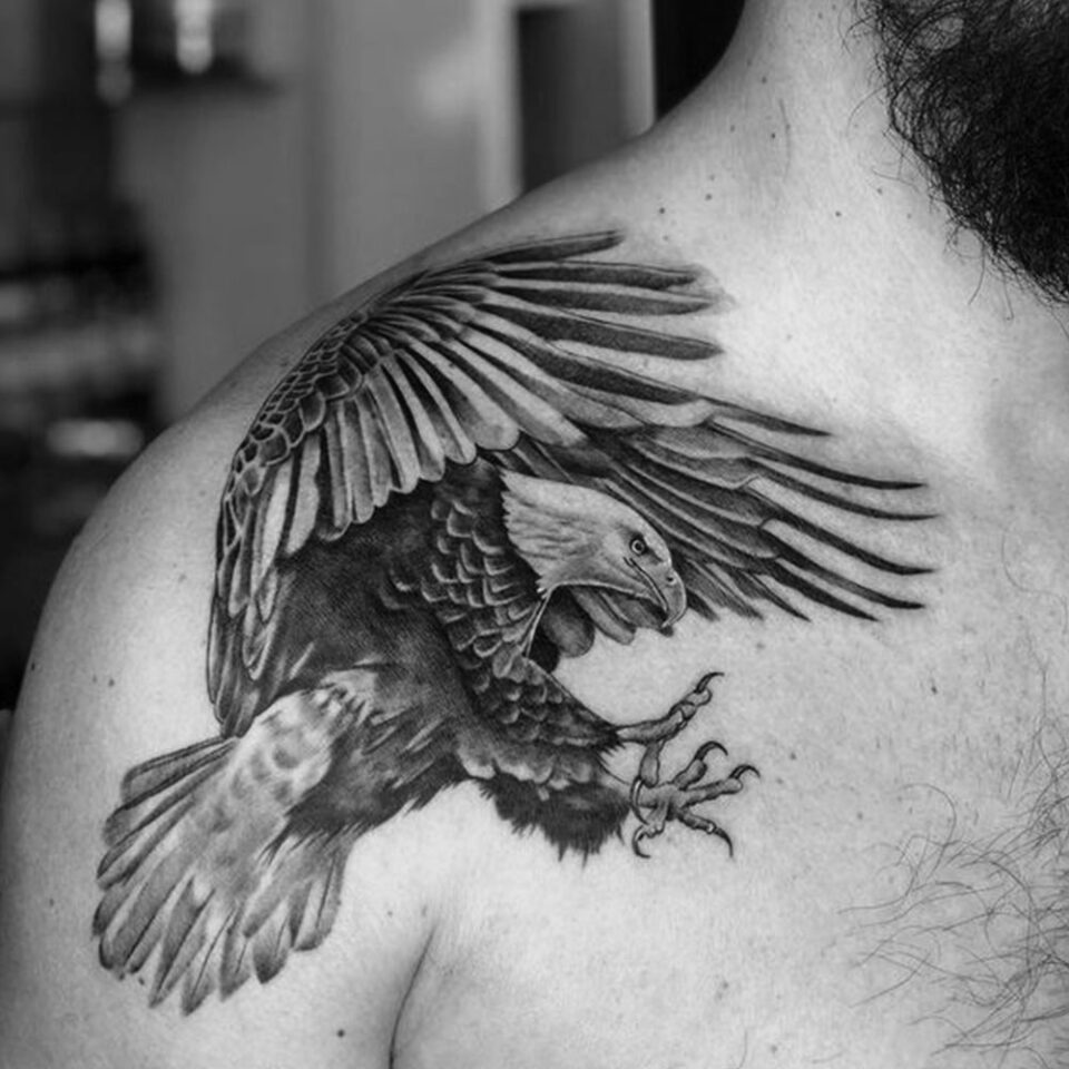 Verreaux's Eagle Tattoo