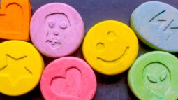 An Australian Charity Is Giving Away MDMA And Magic Mushrooms For Free
