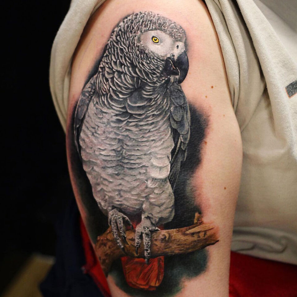 Fonte de tatuagem de papagaio cinza africano para animais de estimação @anthonyjenkins_et via Instagram