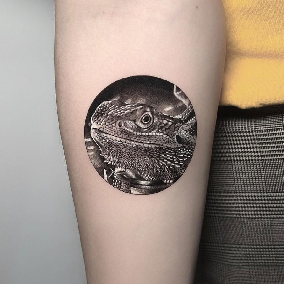Fonte de tatuagem de dragão barbudo em uma rocha para animais de estimação @aleys_tattoo via Instagram