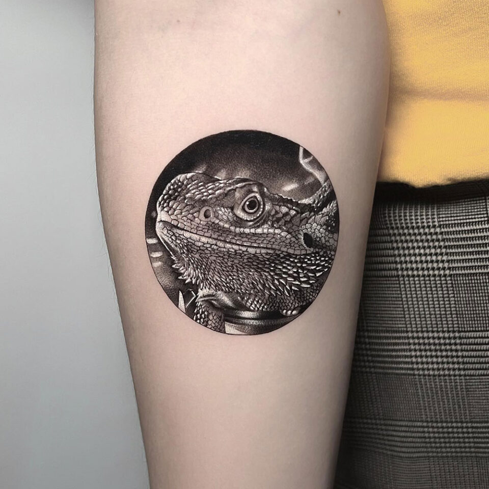 Bearded Dragon on a Rock Pet Tattoo Source @aleys_tattoo via Instagram