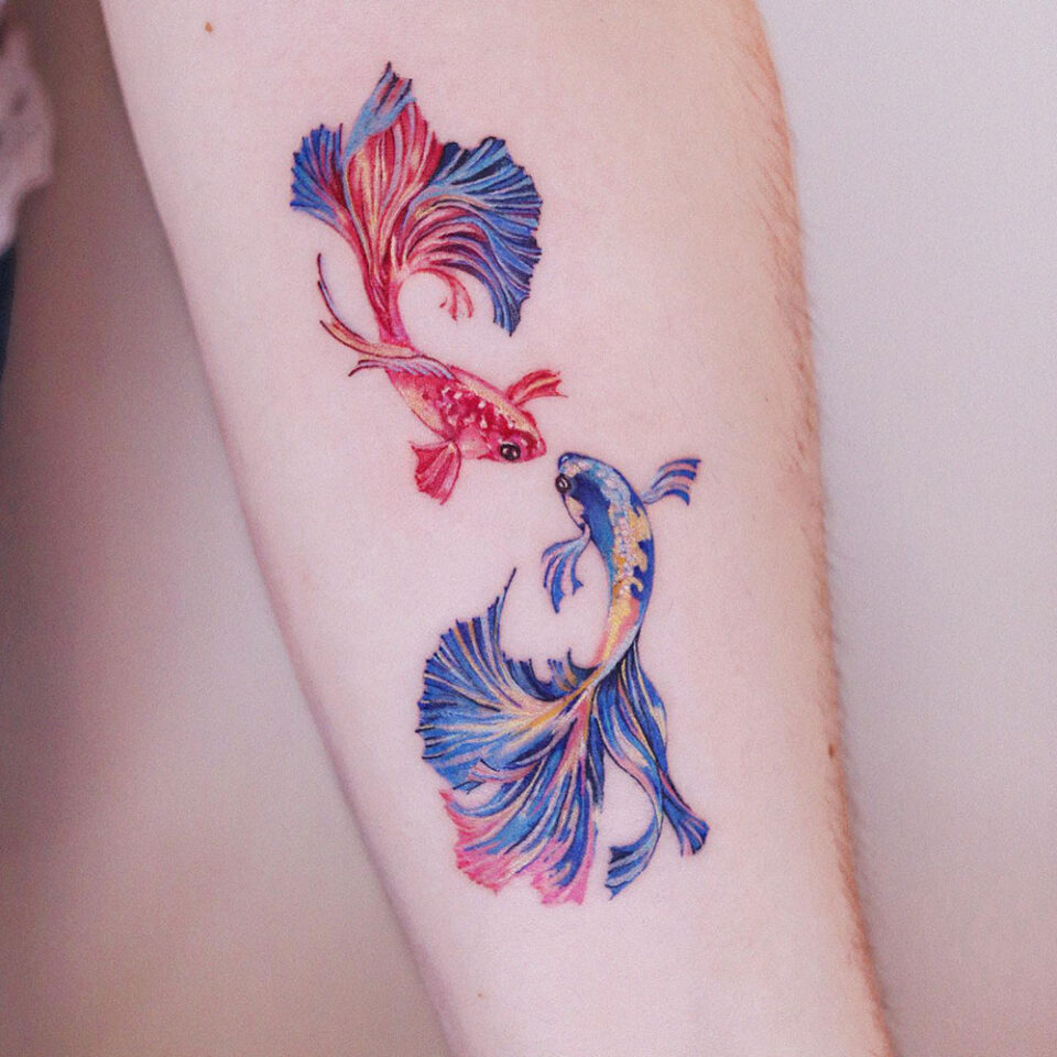 Peixe Betta em cores para tatuagem de animais de estimação Fonte @siihee.tattoo via Instagram