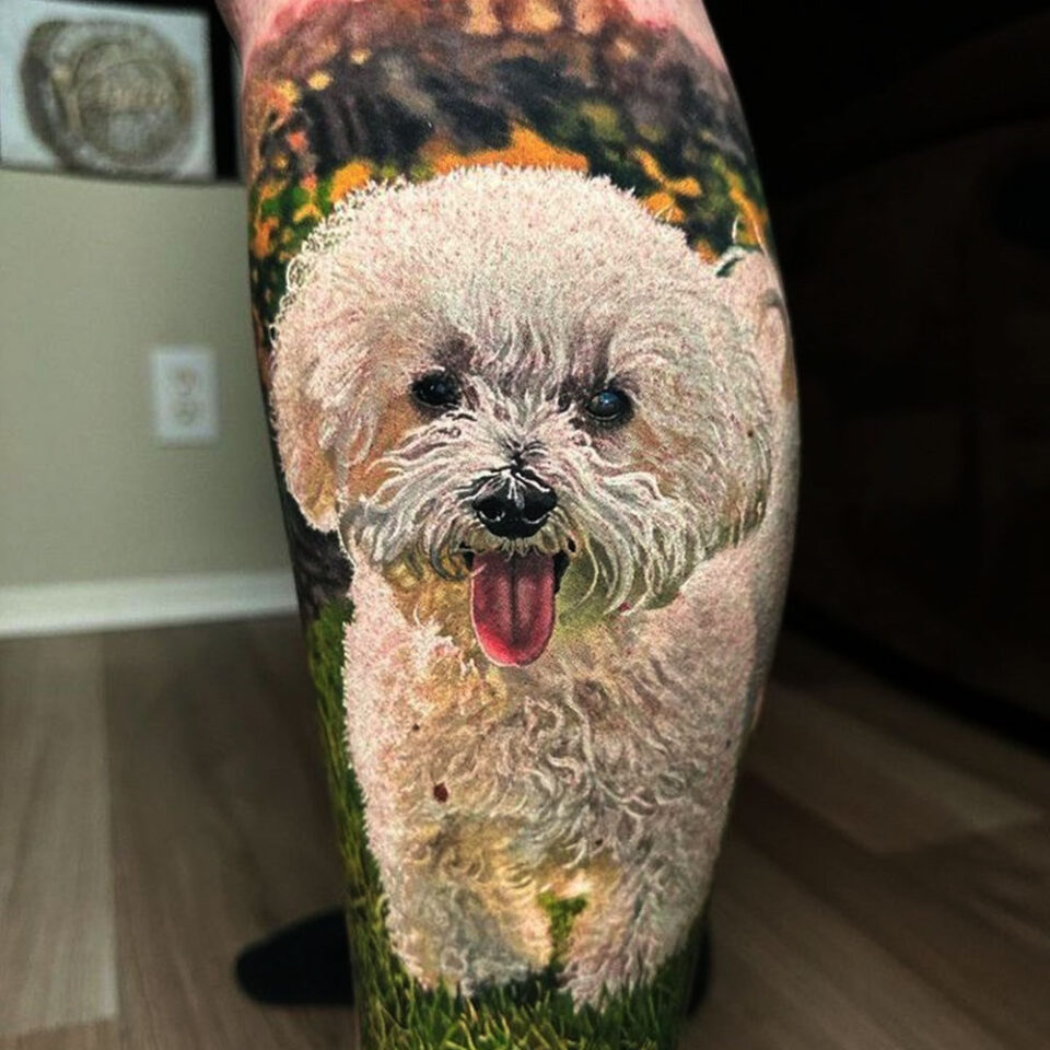 Fonte de tatuagem para animais de estimação Bichon Frise @yuelong_ameli via Instagram