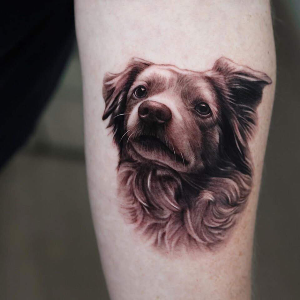 Fonte de tatuagem de animal de estimação Border Collie @cheontattoo Instagram