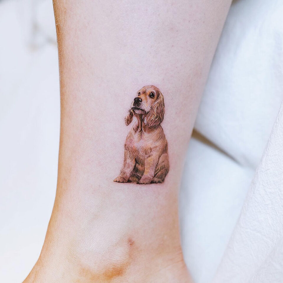 Fonte de tatuagem de animal de estimação Cocker Spaniel @nandotattooer Instagram