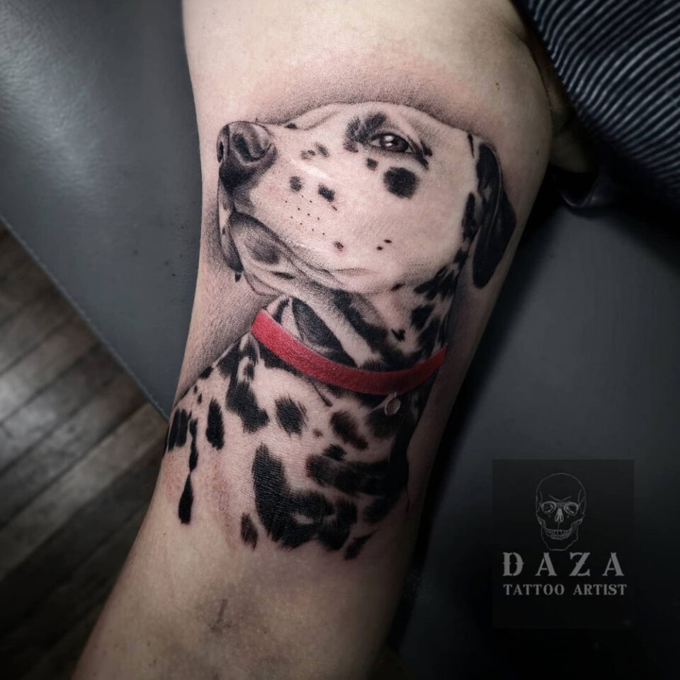Fonte de tatuagem de animal de estimação dálmata @fco_daza via Instagram