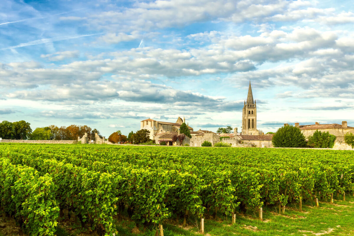 10 Best Wine Regions In The World DMARGE