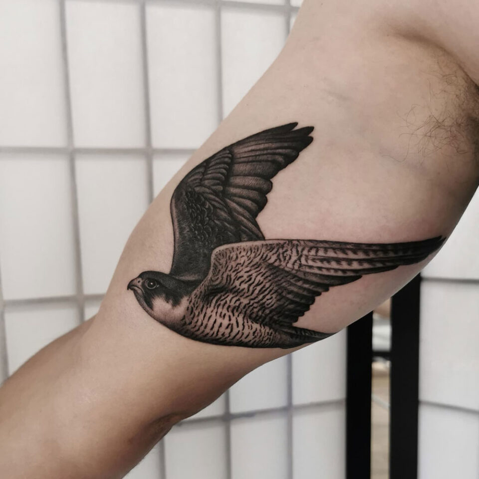Fonte de tatuagem de animal de estimação Falcon in Flight @sarah_tavilla via Instagram