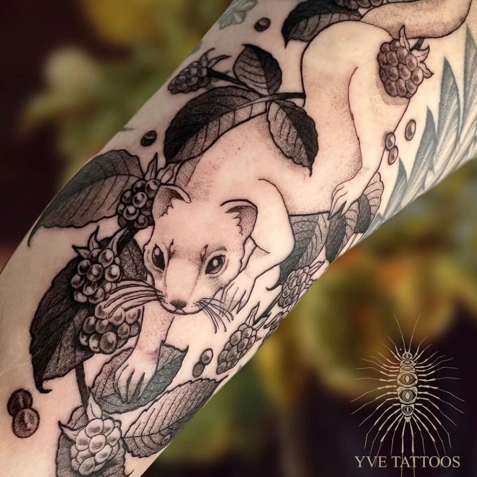Furão subindo em uma árvore Fonte de tatuagem de animal de estimação @yvetattoos via Instagram