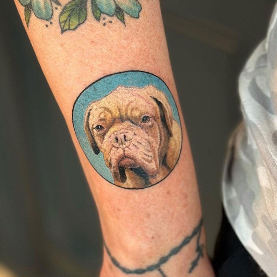 Fonte de tatuagem de animal de estimação Mastim Francês @sonjaelise_ via Instagram