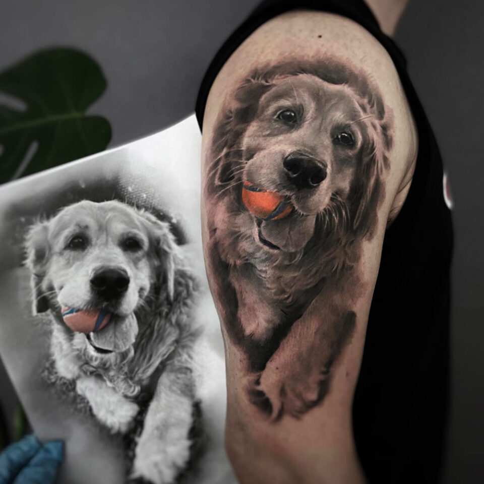 Golden Retriever buscando bola de tatuagem de animal de estimação Fonte @fiona.jin via Instagram