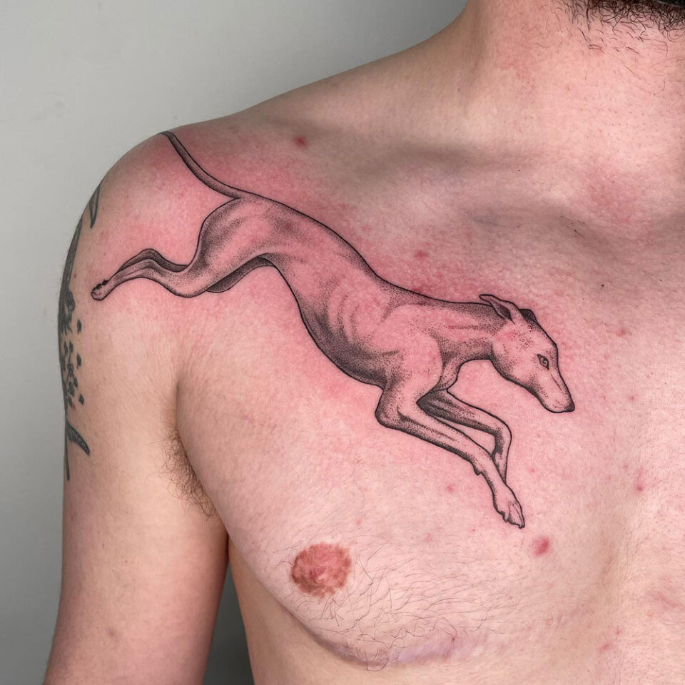 Fonte de tatuagem de animal de estimação Greyhound @strange_vessel via Instagram