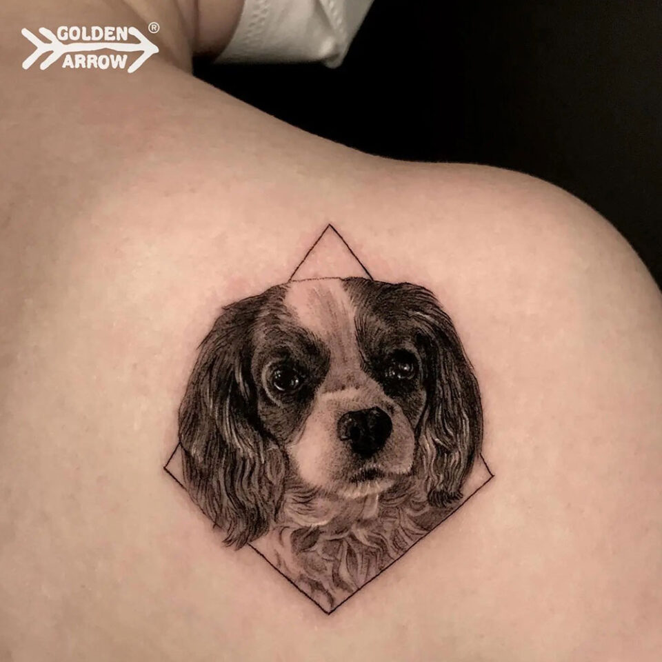 Fonte de tatuagem de animal de estimação King Charles Spaniel @tattoogoldenarrow via Instagram