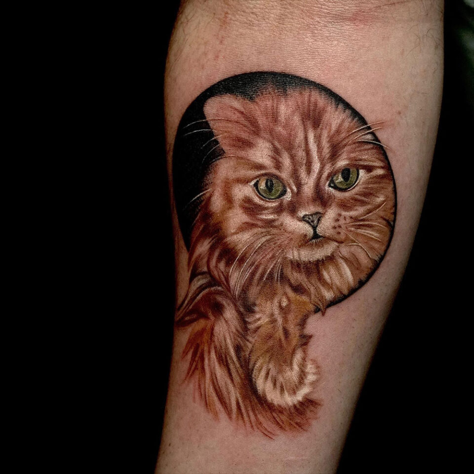 Fonte de tatuagem de gato persa para animais de estimação @ankaratattoo via Instagram