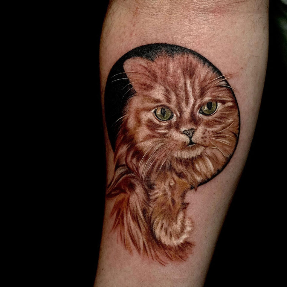 Persian Cat Pet Tattoo Source @ankaratattoo via Instagram