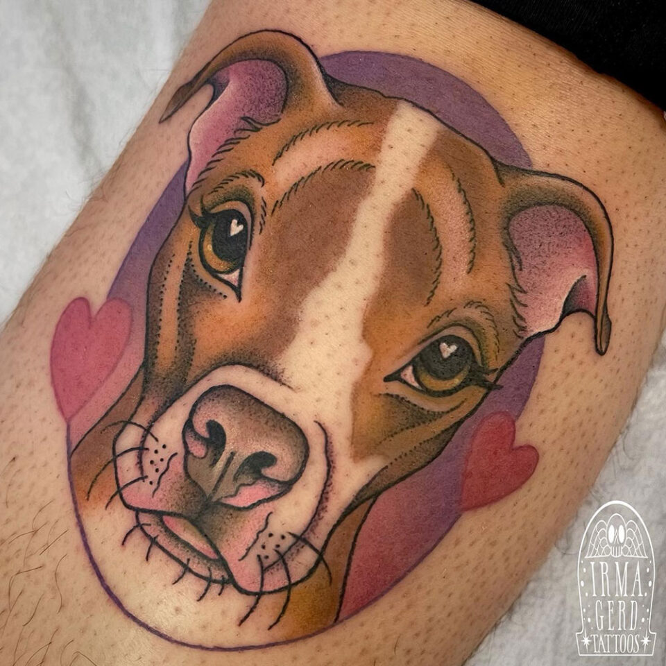 Pitbull com tatuagem de coração para animais de estimação Fonte @irmagerdtattoos via Instagram