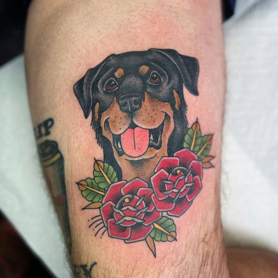 Rottweiler com tatuagem de rosa para animais de estimação Fonte @taylorthetattooer Instagram