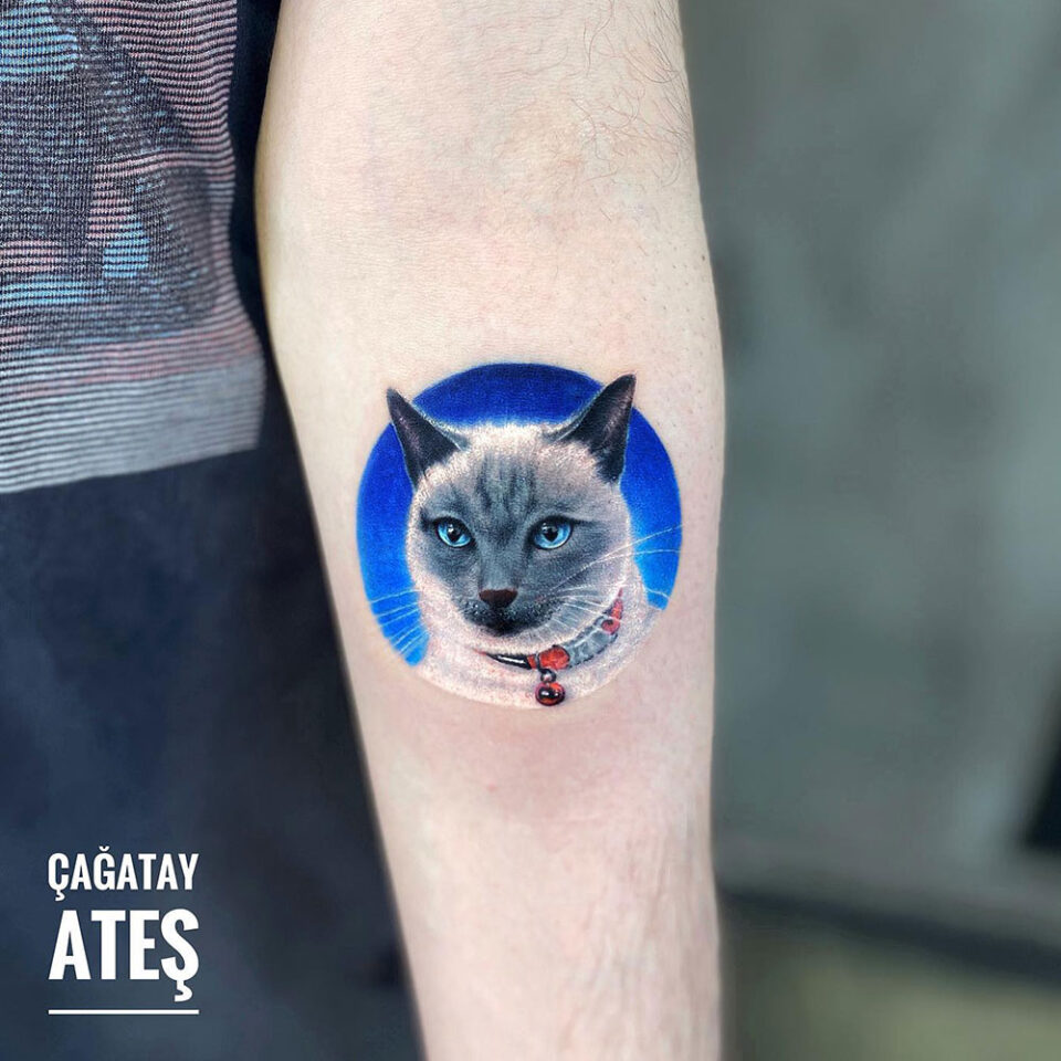 Fonte de tatuagem de gato siamês com olhos azuis @negatiftattookadikoy via Instagram