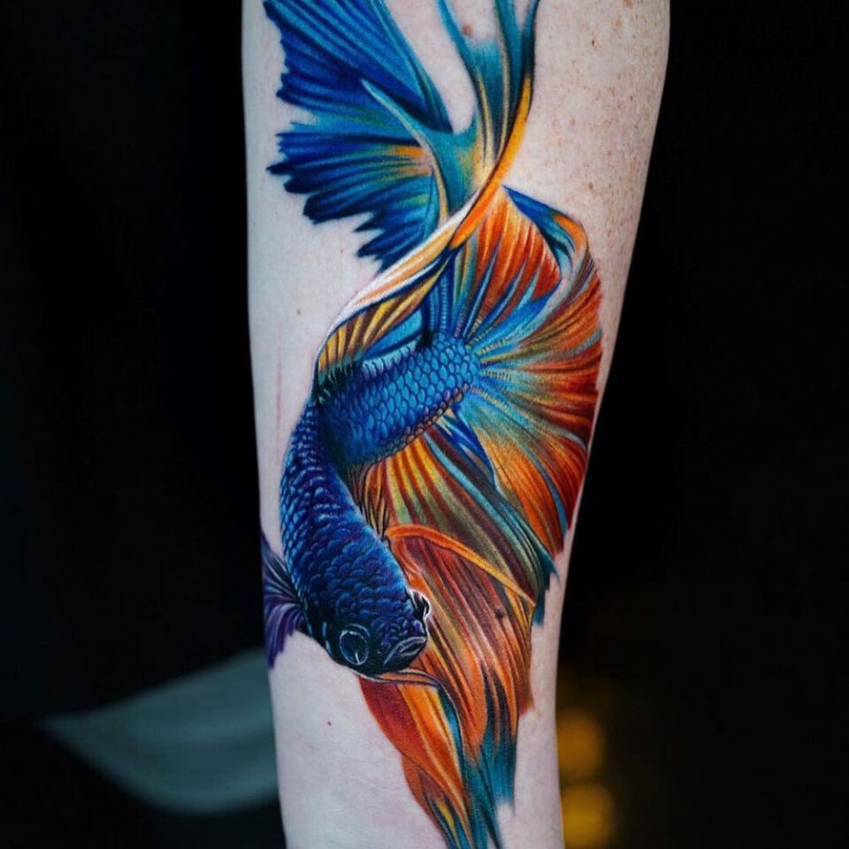Fonte de tatuagem de animal de estimação de peixe lutador siamês @basilicatattoo Instagram