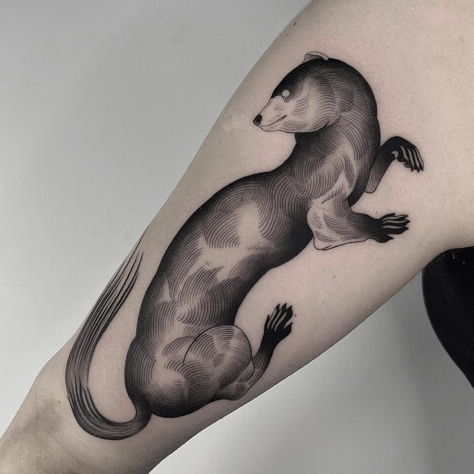 Tatuagem simples de furão para animais de estimação Fonte @inktotalart via Instagram
