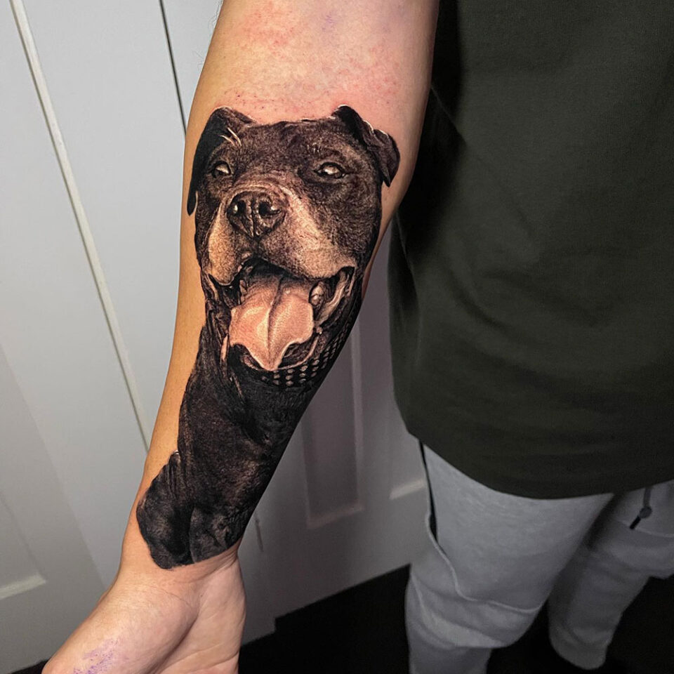 Fonte de tatuagem de animal de estimação Staffordshire Bull Terrier @natotattooart via Instagram