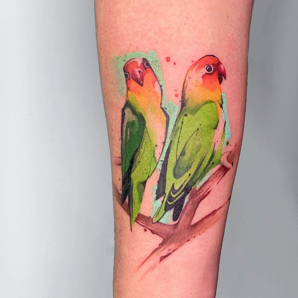 Fonte de tatuagem estilizada de papagaio para animais de estimação @elias.ap Instagram