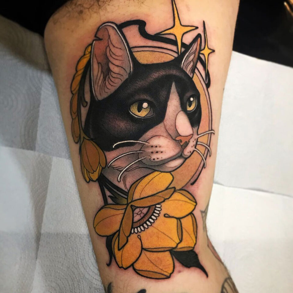 Fonte de tatuagem de animal de estimação com retrato de gato em estilo tradicional @aleys_tattoo via Instagram