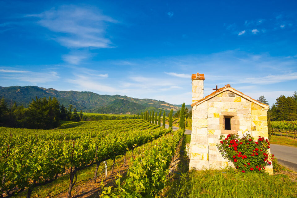 10 Best Wine Regions In The World DMARGE