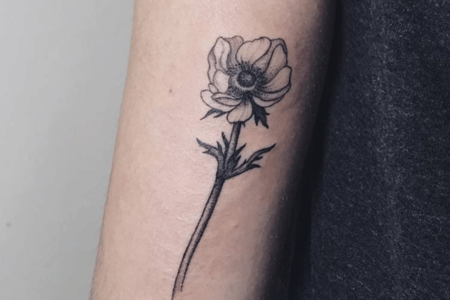 Fonte de tatuagem de flor de anêmona @lipatovalyona via Instagram