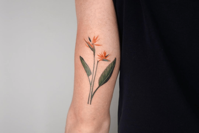 Fonte de tatuagem de flor de pássaro do paraíso @tattooist_eq via Instagram