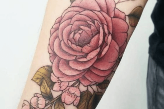Fonte de tatuagem de flor de camélia tattoodo.com